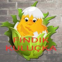 FINDIKULUÇKA